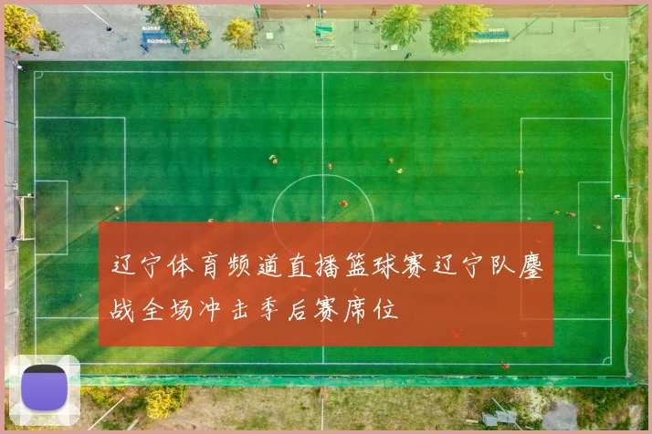 辽宁体育频道直播篮球赛辽宁队鏖战全场冲击季后赛席位