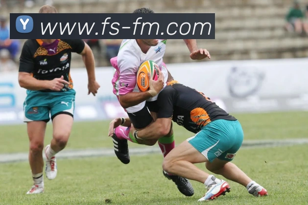 九游官网登录入口平台生态图