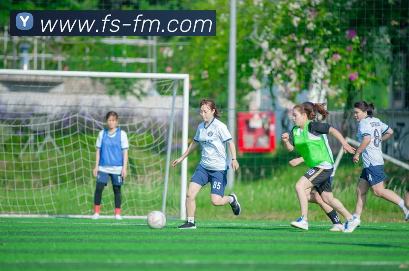 九游官网登录入口全站App